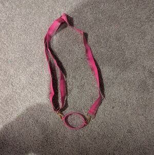 Pink Ribbon Stanley Holder with Gold Sizer